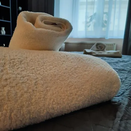 Luxury Senate Apartment-3